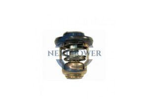 Yamaha Thermostat (AM6FM-12411-00)
